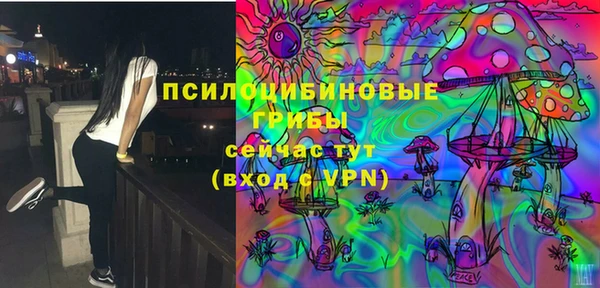 крисы Алзамай