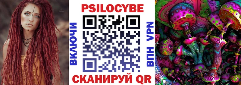 Галлюциногенные грибы Psilocybe Почеп