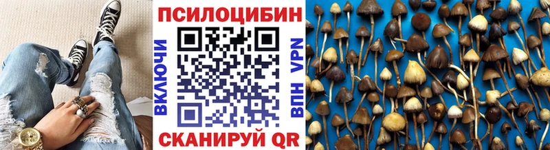 Галлюциногенные грибы прущие грибы  Почеп 
